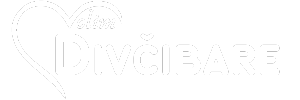 Volim Divčibare - Sme&scaron;taj apartmani, hoteli, vikendice, kuće, vile, brvnare