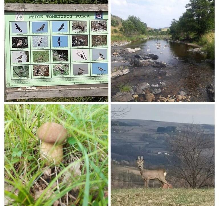 brvnara-gaj-tometino-polje (10)
